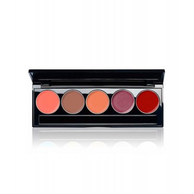 Комплект червила L05/2 1 бр.